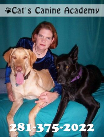 Cat's Canine Academy